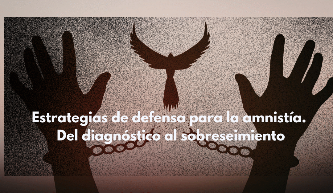 Estrategias para gestionar la amnistía. Del diagnóstico al sobreseimiento